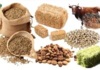 Middle East & Africa Animal Feed Additive Market Analysis, Opportunities, Growth, Trends, Share, Size and Forecast