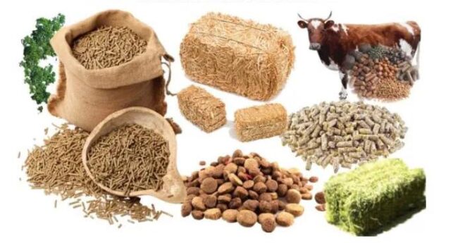 Middle East & Africa Animal Feed Additive Market Analysis, Opportunities, Growth, Trends, Share, Size and Forecast