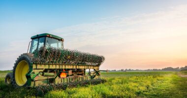 North America Precision Farming Market Analysis, Opportunities, Growth, Size, Share and Forecast