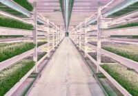 North America Vertical Farming Market Analysis, Opportunities, Share, Growth, Size and Forecast