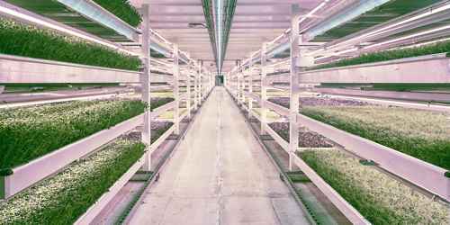 North America Vertical Farming Market Analysis, Opportunities, Share, Growth, Size and Forecast