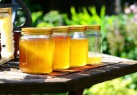 Pakistan Honey Market Analysis, Growth, Share, Trends, Size and Forecast
