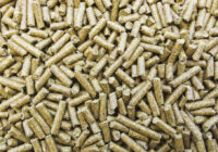 Peru Animal Feed Market Analysis, Growth, Share, Trends, Size and Forecast