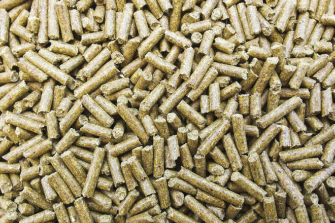 Peru Animal Feed Market Analysis, Growth, Share, Trends, Size and Forecast