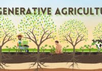 Regenerative Agriculture Market Analysis, Growth, Share, Trends, Size and Forecast