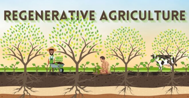 Regenerative Agriculture Market Analysis, Growth, Share, Trends, Size and Forecast