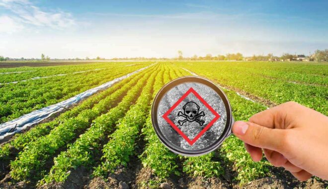 Saudi Arabia Pesticide Residue Testing Market Analysis, Growth, Opportunity, Size, Share, and forecast