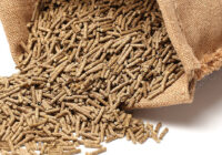 South America Animal Feed Additive Market Analysis, Opportunities, Growth, Size, Share and Forecast