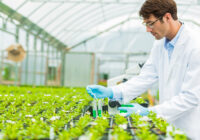 United States Agricultural Biologicals Market Analysis, Opportunity, Growth, Share, Size and Forecast