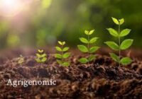 Agrigenomics Market Analysis, Opportunity, Demand, Share, Size, Trends & Forecast