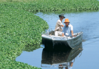 Aquatic Herbicides Market Analysis, Growth, Trends, Share, Size & Forecast