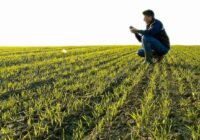 Crop Scouting Market Analysis, Opportunity, Demand, Share, Size, Trends & Forecast