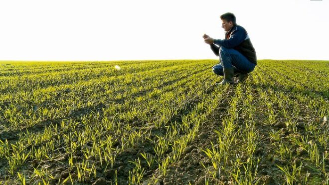 Crop Scouting Market Analysis, Opportunity, Demand, Share, Size, Trends & Forecast