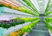 Global Indoor Farming Market Analysis, Opportunity, Share, Size, Growth & Size