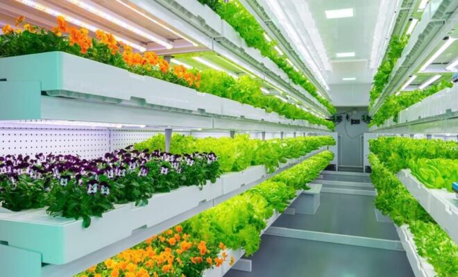 Global Indoor Farming Market Analysis, Opportunity, Share, Size, Growth & Size