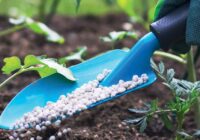 Global Nano Fertilizers Market Analysis, Opportunity, Demand, Share, Size, Trends & Forecast