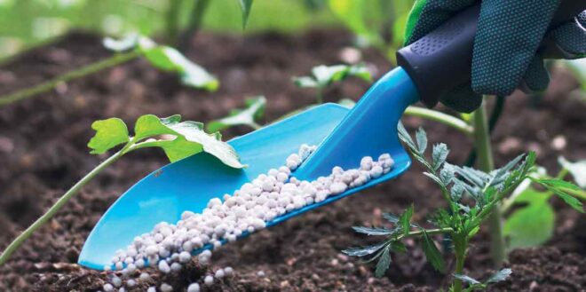 Global Nano Fertilizers Market Analysis, Opportunity, Demand, Share, Size, Trends & Forecast