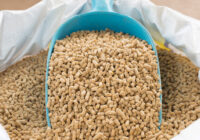 India Animal Feed Supplements Market Opportunity, Analysis, Growth, Share, Trends Size & Forecast