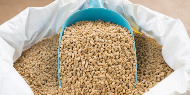 India Animal Feed Supplements Market Opportunity, Analysis, Growth, Share, Trends Size & Forecast