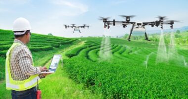 Netherlands AI in Agriculture Market Opportunity, Analysis, Growth, Share, Trends Size & Forecast