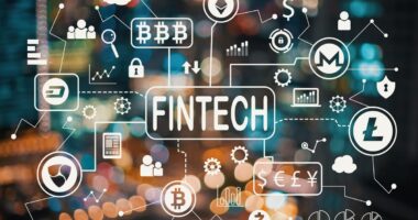 UAE Fintech Market Analysis, Share, Trends, Demand, Size, Opportunity & Forecast