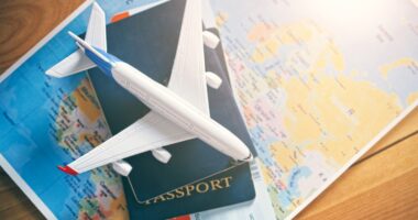 United States Travel Insurance Market Analysis, Share, Trends, Demand, Size, Opportunity & Forecast