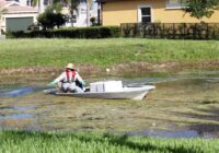 Aquatic Herbicides Market - Analysis, Share, Trends, Demand, Size, Opportunity & Forecast