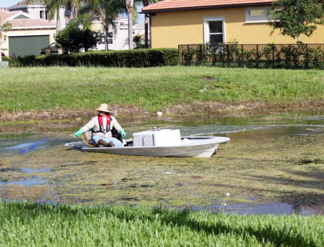 Aquatic Herbicides Market - Analysis, Share, Trends, Demand, Size, Opportunity & Forecast