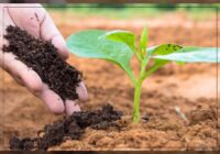 Asia Pacific Soil Conditioners Market Analysis, Share, Trends, Demand, Size, Opportunity & Forecast