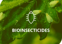 Bioinsecticides Market : Analysis of Industry Size, Share, and Competition
