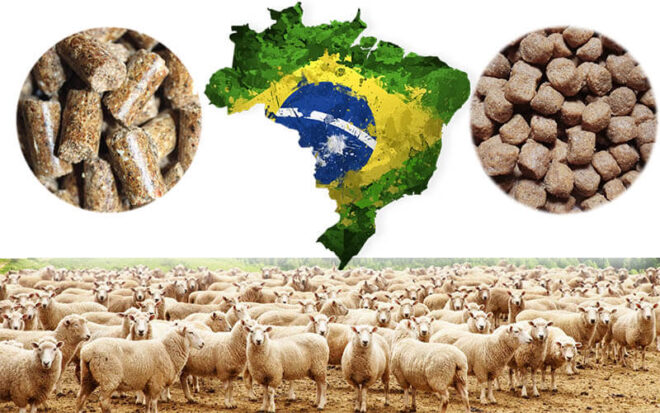 Brazil Animal Feed Market Analysis, Share, Trends, Demand, Size, Opportunity & Forecast