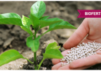 Global Biofertilizers Market Analysis, Share, Trends, Demand, Size, Opportunity & Forecast