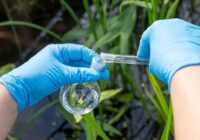 Global Environmental Testing Market Analysis, Share, Trends, Demand, Size, Opportunity & Forecast