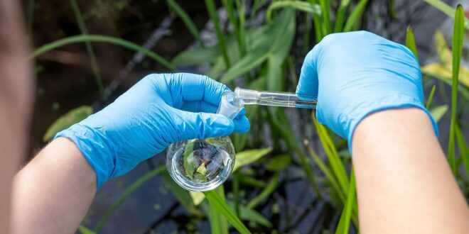 Global Environmental Testing Market Analysis, Share, Trends, Demand, Size, Opportunity & Forecast