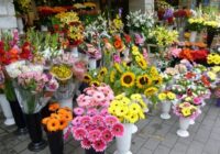 Global Floriculture Market Analysis, Share, Trends, Demand, Size, Opportunity & Forecast