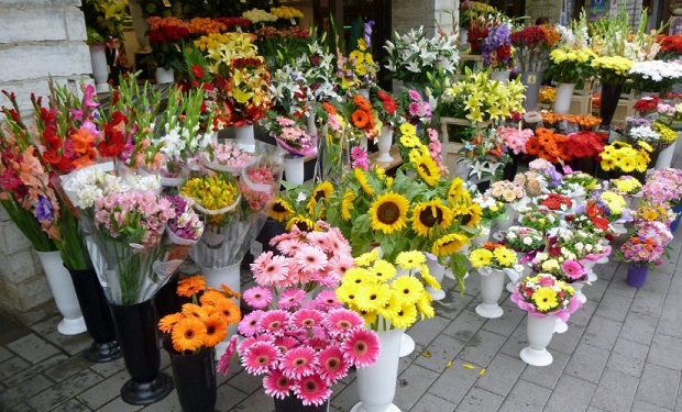 Global Floriculture Market Analysis, Share, Trends, Demand, Size, Opportunity & Forecast