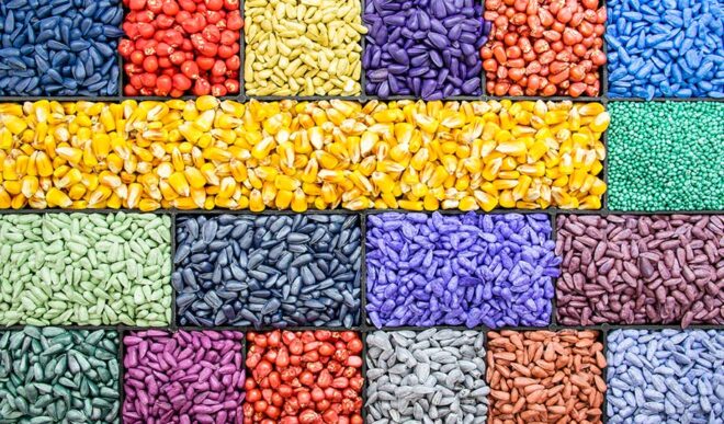 Global Seed Treatment Market Analysis, Share, Trends, Demand, Size, Opportunity & Forecast