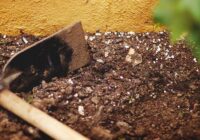 Global Soil Conditioners Market Analysis, Share, Trends, Demand, Size, Opportunity & Forecast