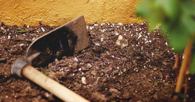 Global Soil Conditioners Market Analysis, Share, Trends, Demand, Size, Opportunity & Forecast