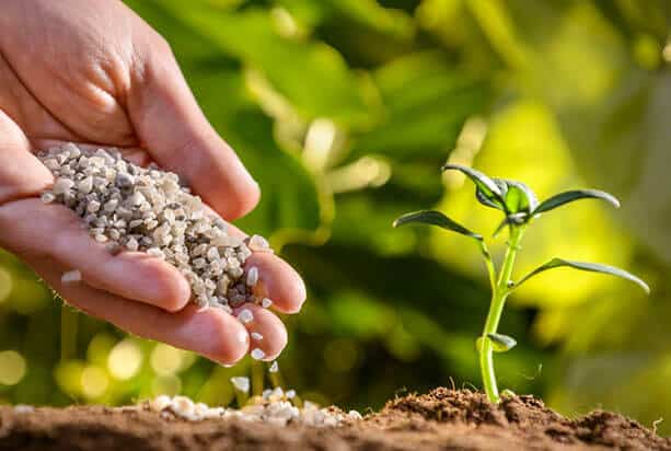 Global Specialty Fertilizers Market Analysis, Share, Trends, Demand, Size, Opportunity & Forecast