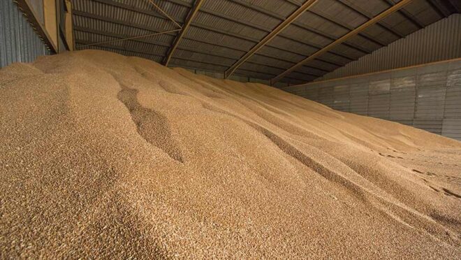 Predicted Growth for India Grain Analysis Market , Expected to Reach billions by 2018-2028