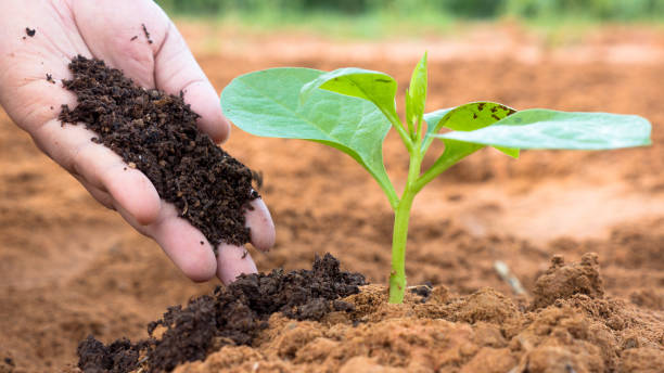 India Organic Fertilizer Market Forecast 2017-2027: Projected Growth and Opportunities | TechSci Research