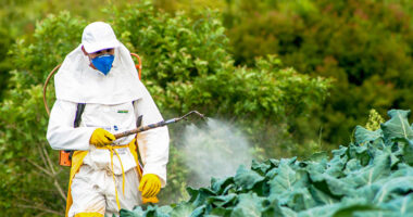 Israel Pesticides Market Analysis, Share, Trends, Demand, Size, Opportunity & Forecast