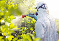 Pesticide Formulations Market Set to Surpass Billions by 2017-2027 – TechSci Research