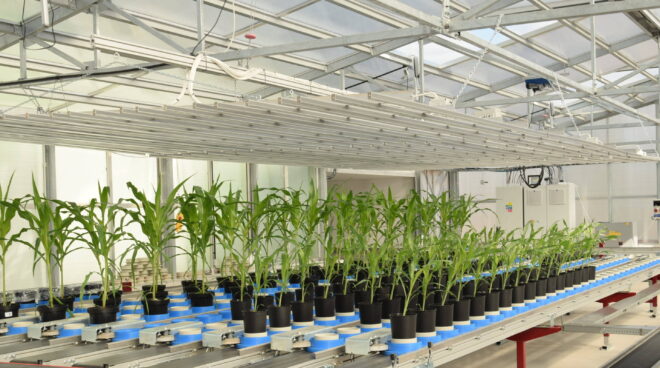 Plant Phenotyping Market Analysis, Share, Trends, Demand, Size, Opportunity & Forecast