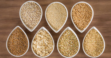 Saudi Arabia Grain Analysis Market Forecast 2017-2027: Trends and Competition | TechSci Research