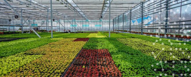 Smart Greenhouse Market - Analysis, Share, Trends, Demand, Size, Opportunity & Forecast