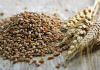 UAE Grain Analysis Market : Opportunities, Size and Growth Projections in Upcoming Years