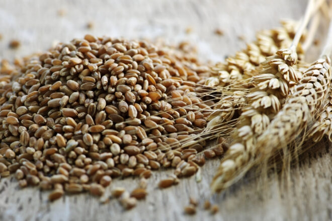 UAE Grain Analysis Market : Opportunities, Size and Growth Projections in Upcoming Years