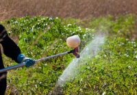 Predicted Growth for UAE Pesticide Market , Expected to Reach billions by 2017-2027